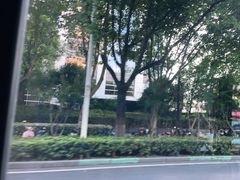 -广州炎记猪肚包鸡
