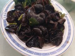 -老雒阳面馆·水席(洛宁高速路口店)