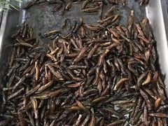 -昆虫窝子·特色云南菜(拓东路总店)