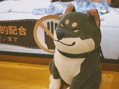 -大江户·温泉洗浴(浑南店)
