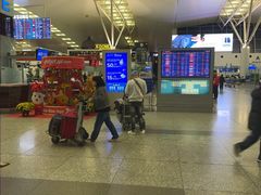 -河内内排国际机场