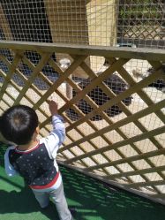 -萌宠亲子动物乐园(槐房万达店)