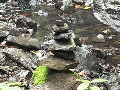 -黄椅山火山森林公园
