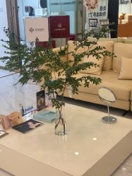 -贞禾轻医美·连锁