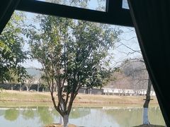 -丽华园(青少年宫店)