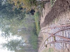 -合肥滨湖国家森林公园