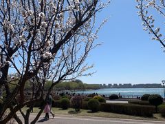 -丁香湖公园