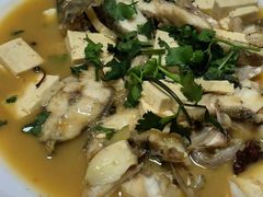 -煲来饱去冷水鱼