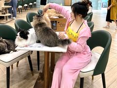 -安格丽娜·狗咖·猫咖羊驼咖(春熙路百盛商场店)