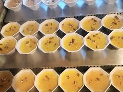 -成老灶火锅鸡(平山店)