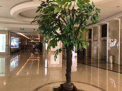 -UME影城(4DX情侣金牛店)