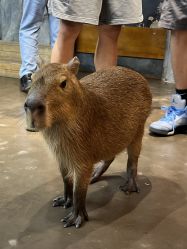 -Zoolung Zoolung动物主题公园(海信广场店)