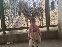 -宿豫区运河湾森林动物园