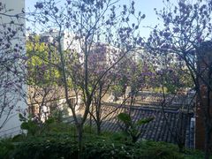 -乌山风景区