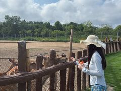 -日照海滨国家森林公园