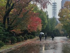 -北海道厅旧本厅舍(旧本庁舎)