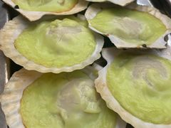 芥末扇贝-炒豆合作社(东四总店)