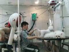 -PETKIT小佩宠物(古北店)