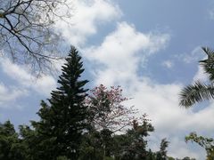 -飞霞风景名胜区