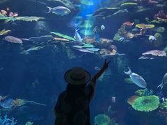 -暹罗海洋世界