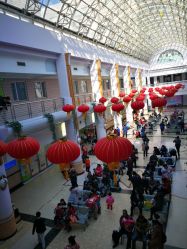 -上海交通大学医学院附属上海儿童医学中心(陆家嘴总院区)