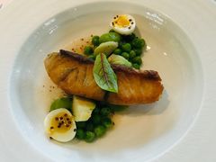 -蝶舍·MAISON PAPILLON