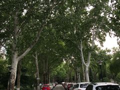 -山东师范大学(千佛山校区)