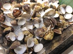-威珀斯酒店·珀萃美食餐厅 | 海鲜刺身·现烤生蚝·特色烤肉