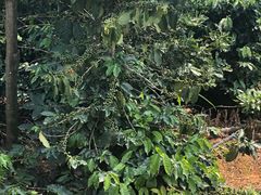 -后谷咖啡(建设巷店)