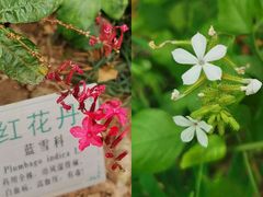 -广州神农草堂中医药博物馆