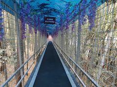 -石燕湖生态旅游景区