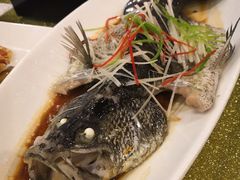 葱油蒸鲈鱼-三亚海韵度假酒店·韵和轩中餐厅