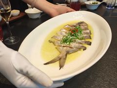 清蒸特大鲳鱼-老地方酒店(宜兴店)