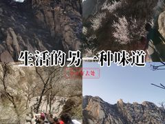 -北京凤凰岭