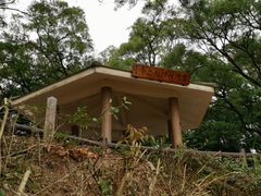 -狮子山郊野公园