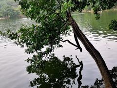 -紫霞湖公园