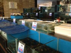 水产区-大铁勺新津菜(东丽阳光新业广场店)