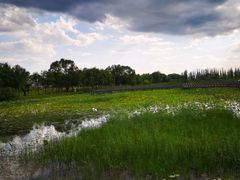 -野鸭湖国家湿地公园