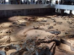 -自贡恐龙博物馆