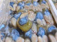 -花园菜市场