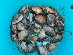 -天津东疆湾沙滩景区