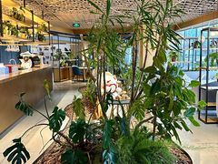 -云里小坐·海泉湾·团建·宴席·下午茶(金堂海泉湾店)