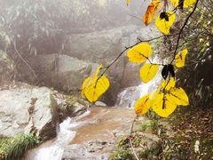 -藏龙百瀑风景区