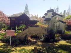 -苏州上方山国家森林公园