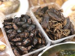 -莫华(锦绣趣园北街店)