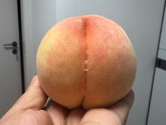 -南汇水蜜桃采摘(大团店)