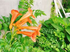 -隹木咖啡馆(宝龙广场店)