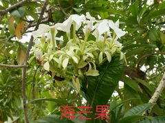 -南通洲际绿博园