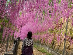 -黄金沟旅游风景区