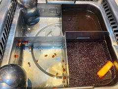 -海底捞火锅(枫蓝国际购物中心店)